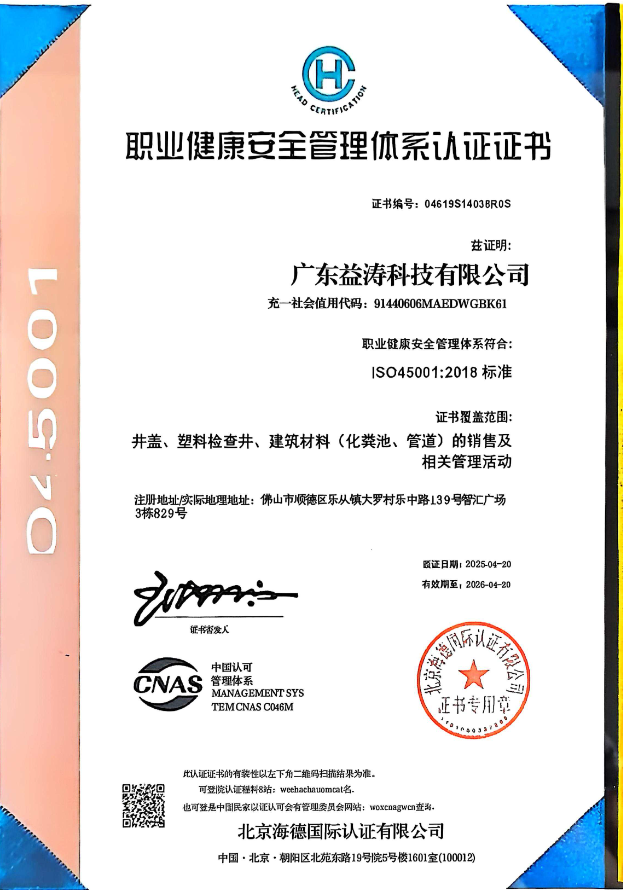 定城镇荣誉证书